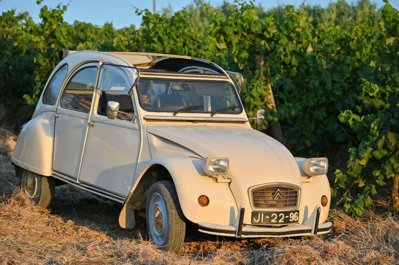 Vinhas de Citroen 2CV & Dyane