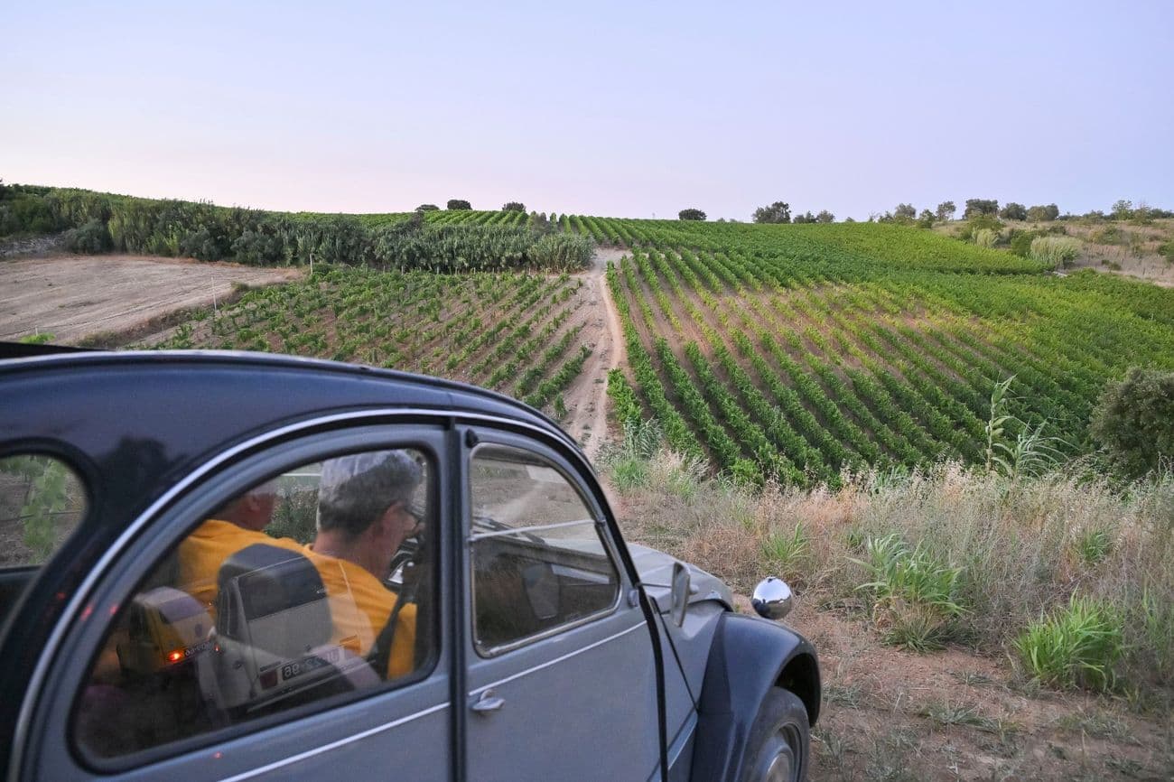 Vinhas de Citroen 2CV & Dyane